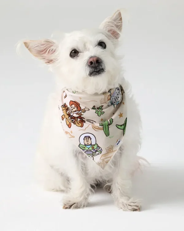 Disney & Pixar Woody's Wild West Pet Bandana