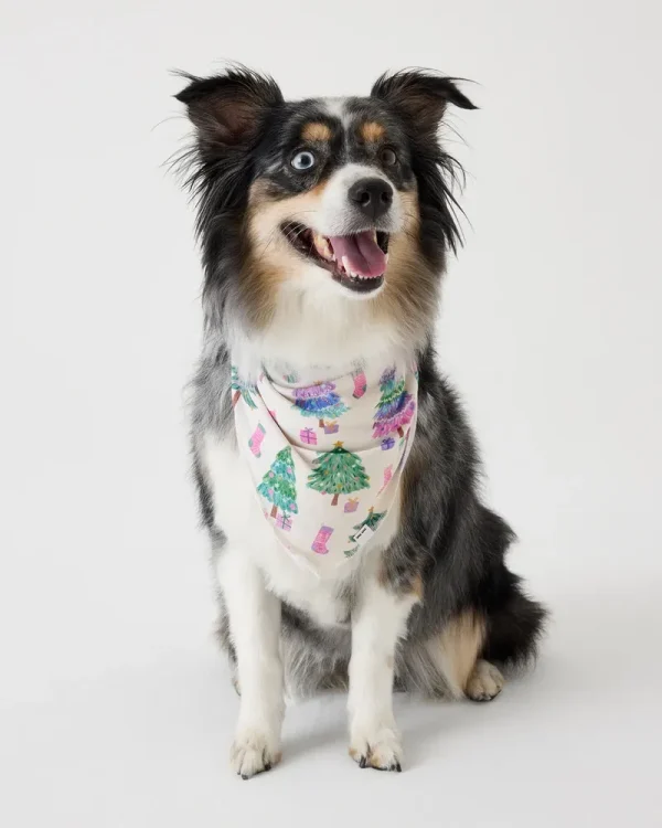 Joyful Traditions Pink Pet Bandana