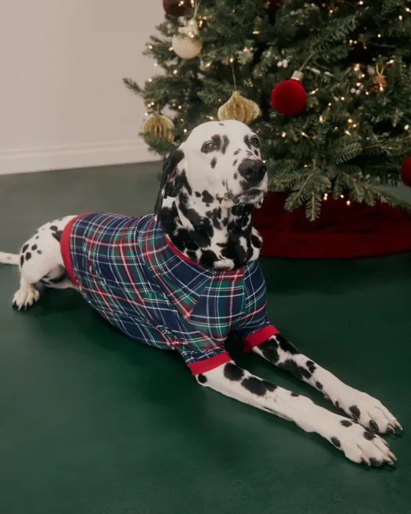 Northern Night Plaid Pet Pajamas