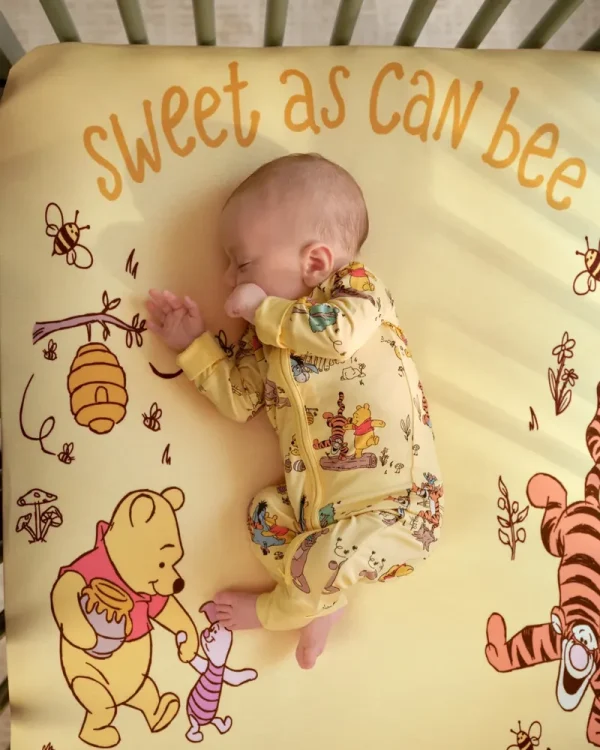 Disney Playtime with Pooh Zippy